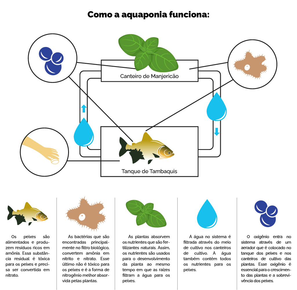 Aquatropic Aquacultura E Meio Ambiente