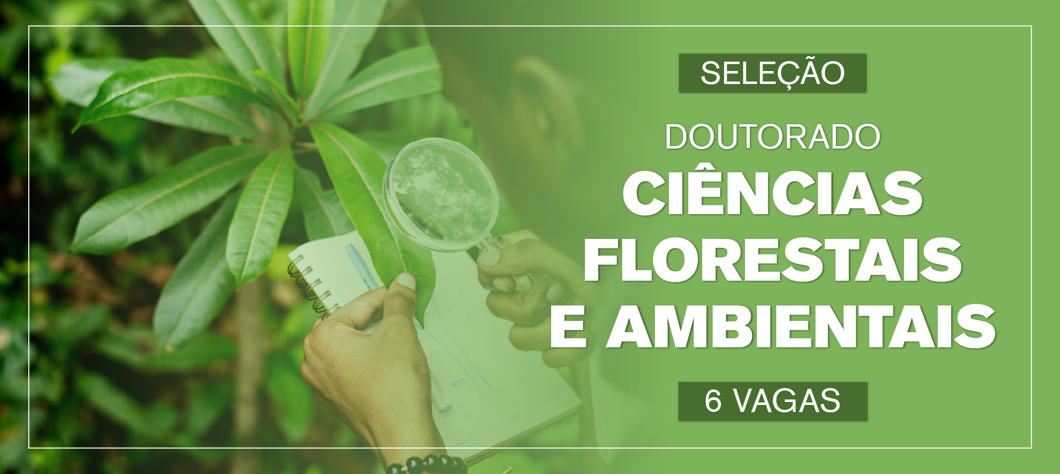 Processo seletivo para o curso de Doutorado do PPG em Ciências Florestais e Ambientais 