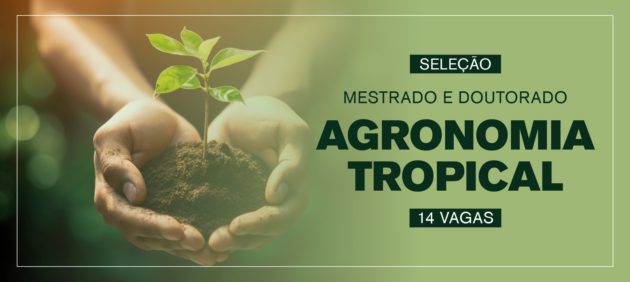 Propesp divulga edital de seleção para mestrado e doutorado em Agronomia Tropical