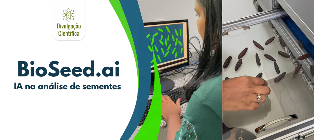 Tecnologia a favor da floresta: projeto acelera análise de sementes nativas na Amazônia