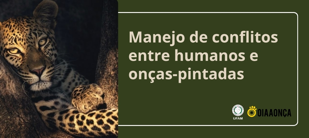 Pesquisas da Ufam contribuem para diretrizes nacionais sobre manejo de conflitos entre humanos e onças-pintadas