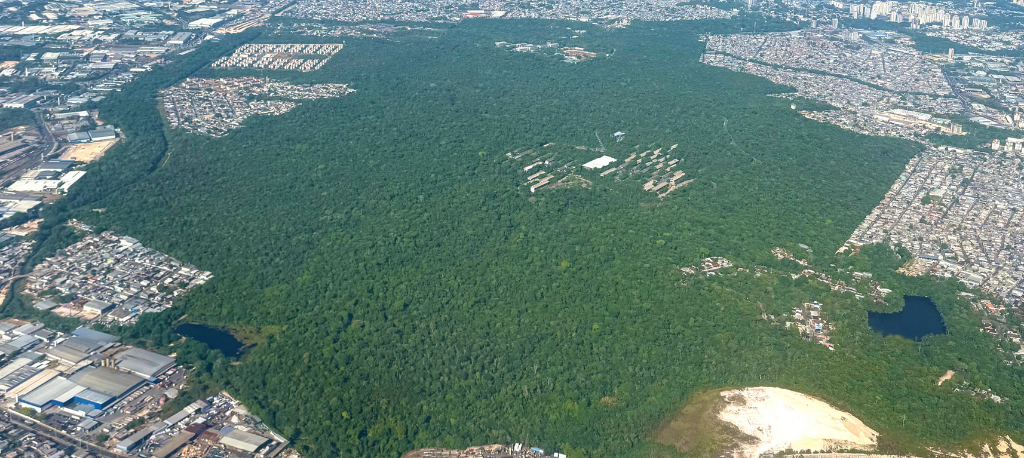 Fragmento florestal da Ufam mantém 700 hectares de floresta amazônica na área urbana de Manaus