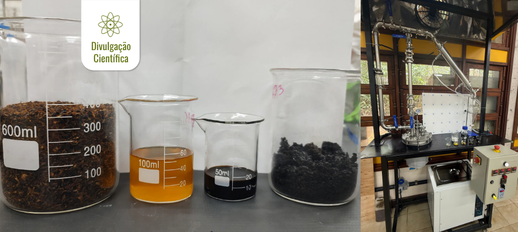 Saiba como um laboratório da Ufam transforma gordura industrial e comercial em biocombustíveis de alta eficiência